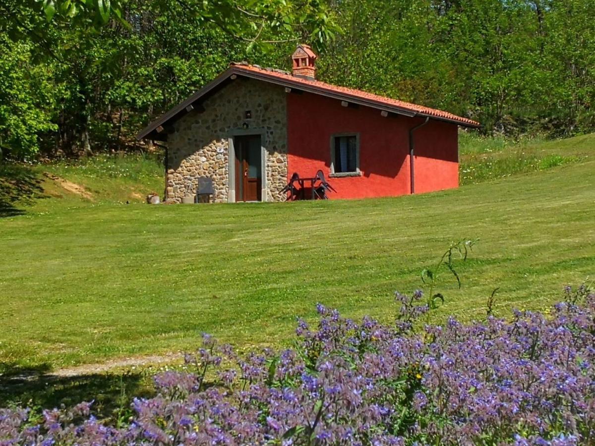 Agriturismo Braccicorti Pieve Fosciana Eksteriør billede