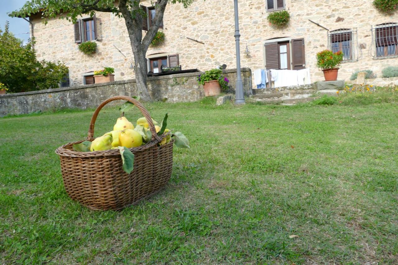 Agriturismo Braccicorti Pieve Fosciana Eksteriør billede