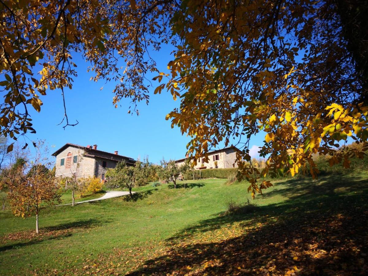 Agriturismo Braccicorti Pieve Fosciana Eksteriør billede