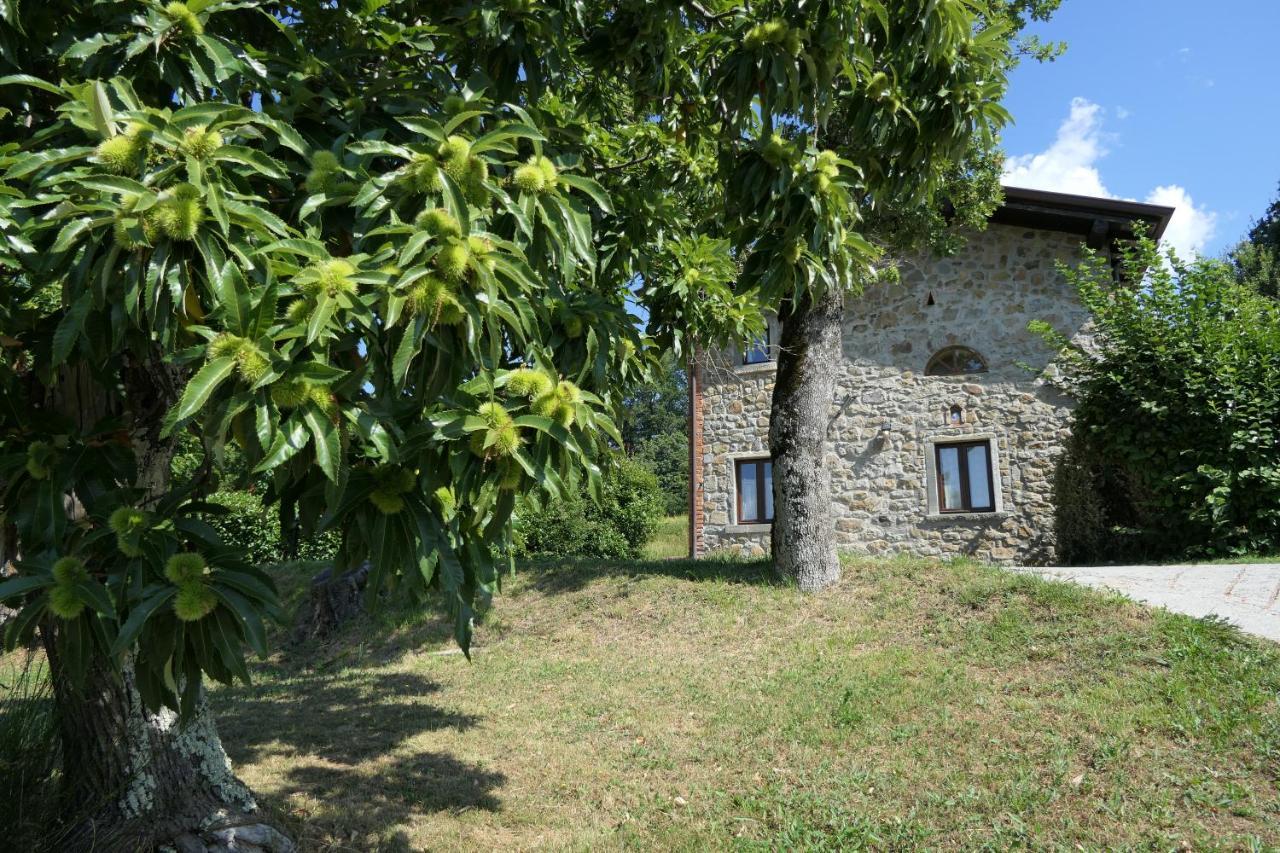 Agriturismo Braccicorti Pieve Fosciana Eksteriør billede
