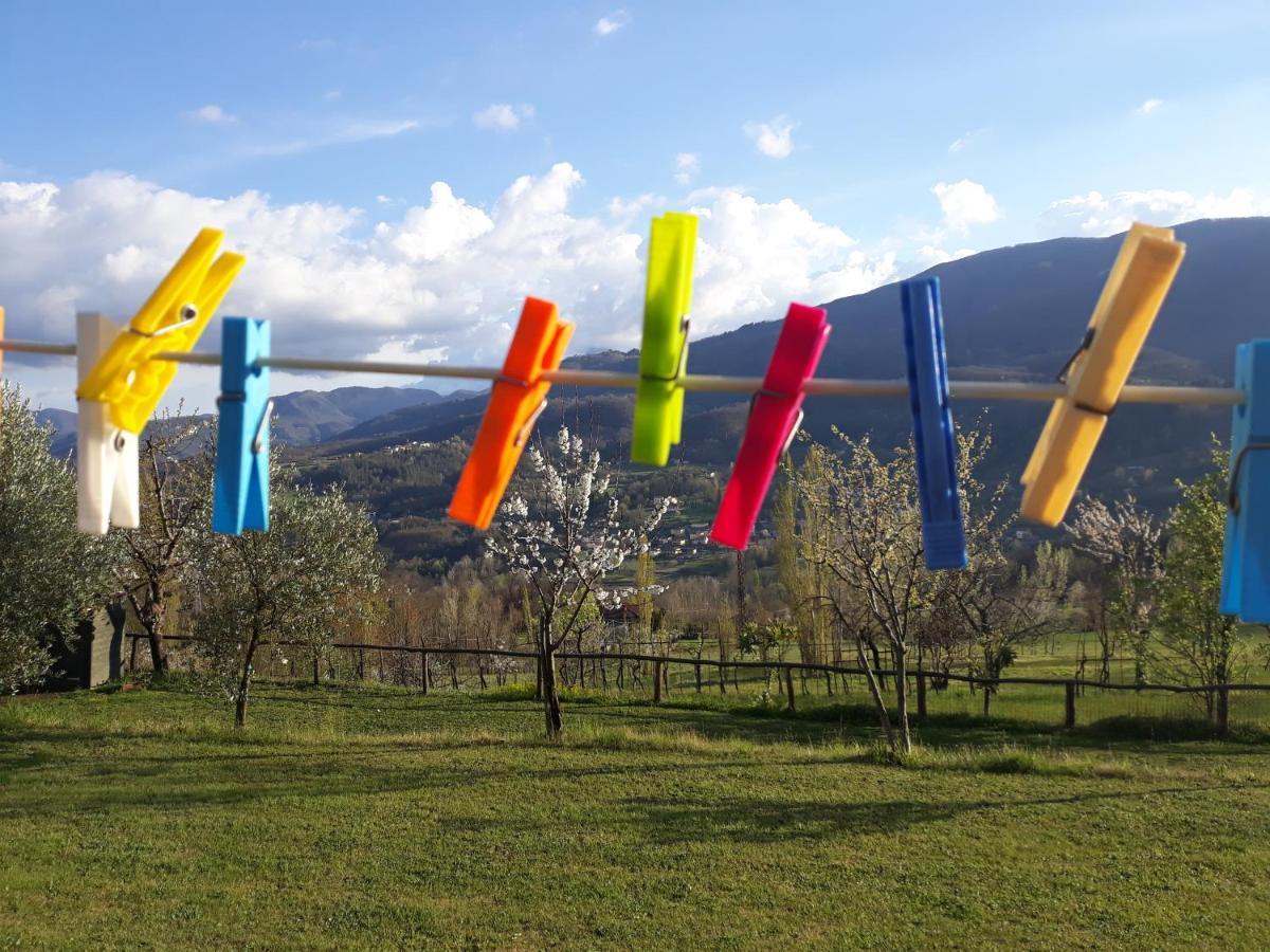 Agriturismo Braccicorti Pieve Fosciana Eksteriør billede