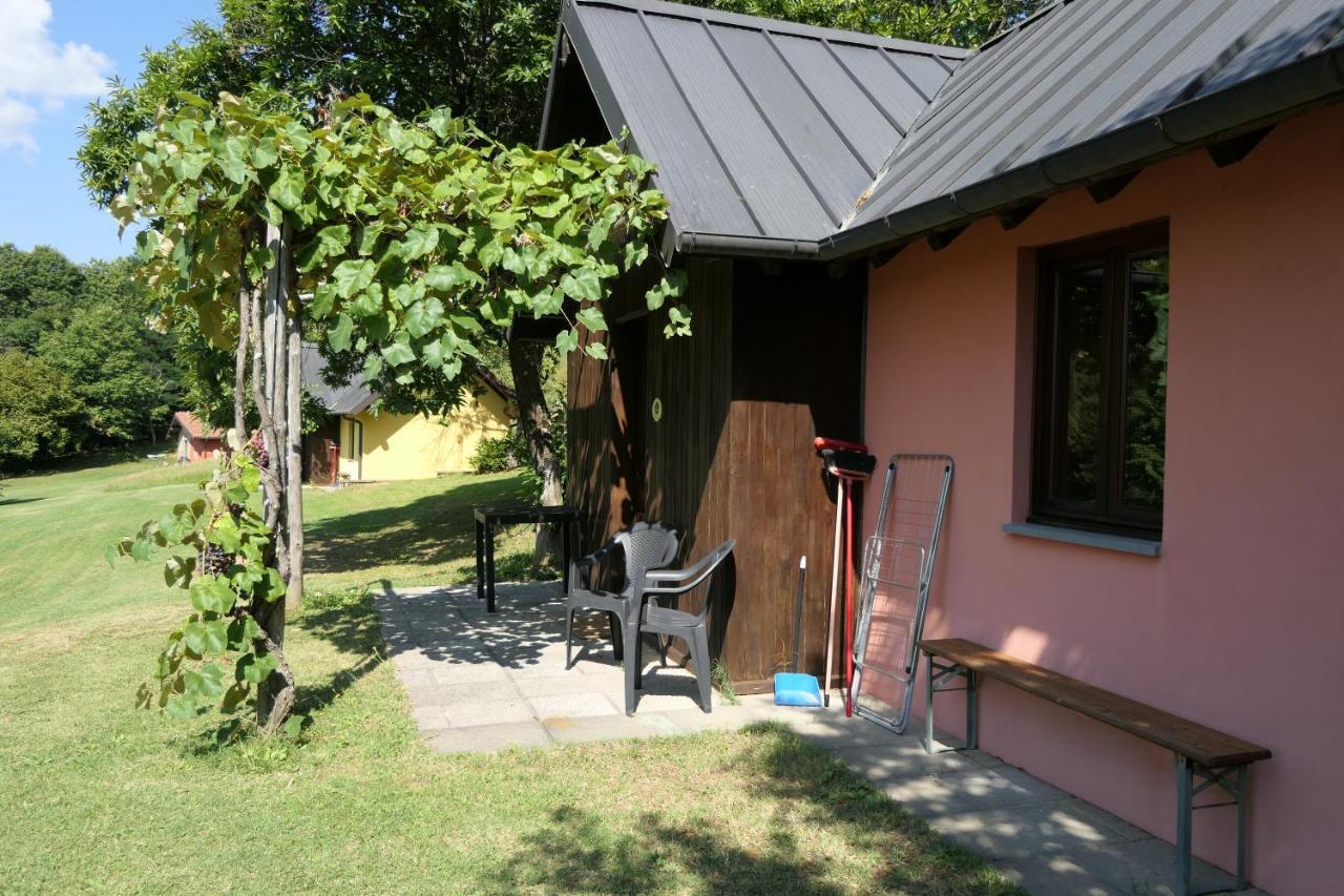 Agriturismo Braccicorti Pieve Fosciana Eksteriør billede