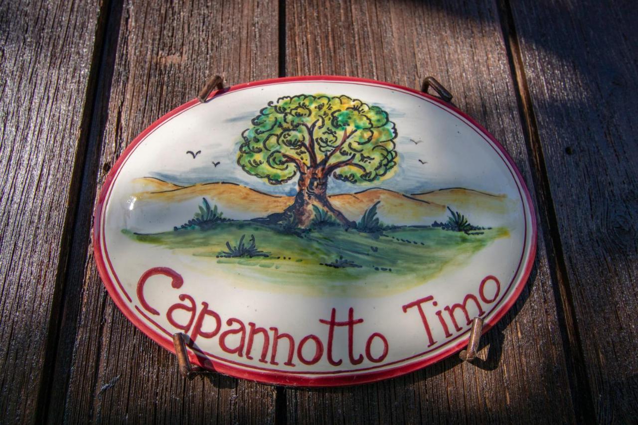 Agriturismo Braccicorti Pieve Fosciana Eksteriør billede
