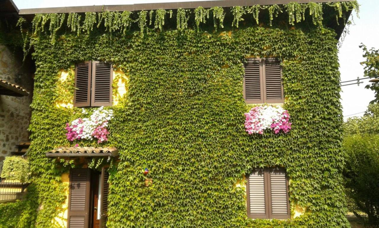 Agriturismo Braccicorti Pieve Fosciana Eksteriør billede