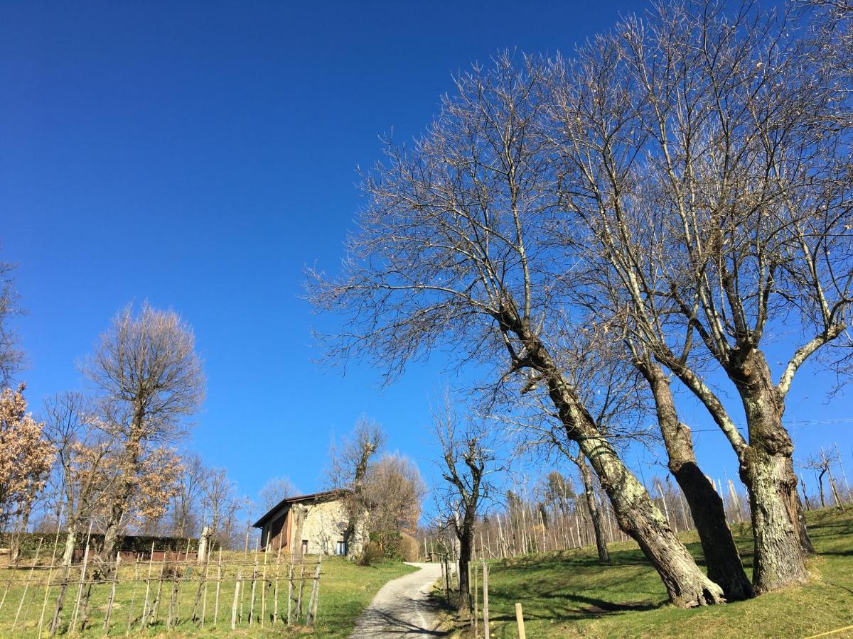 Agriturismo Braccicorti Pieve Fosciana Eksteriør billede