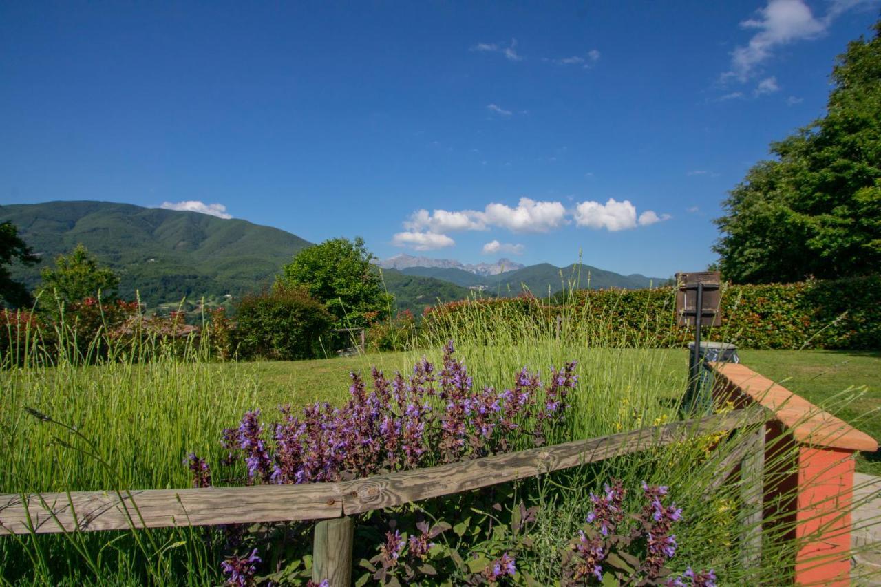 Agriturismo Braccicorti Pieve Fosciana Eksteriør billede